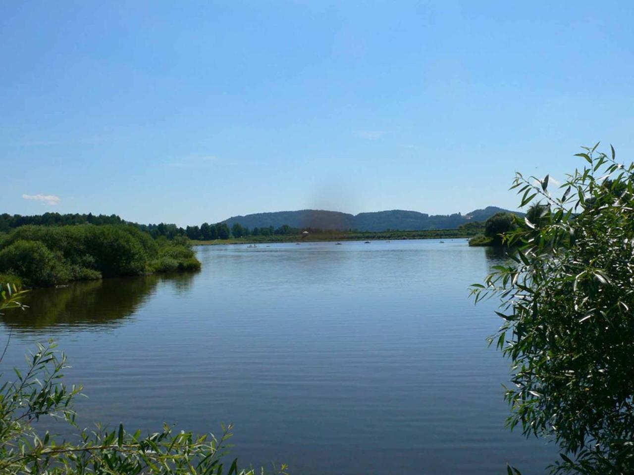 Ferienwohnungen Waldblick Waldmünchen Exterior foto