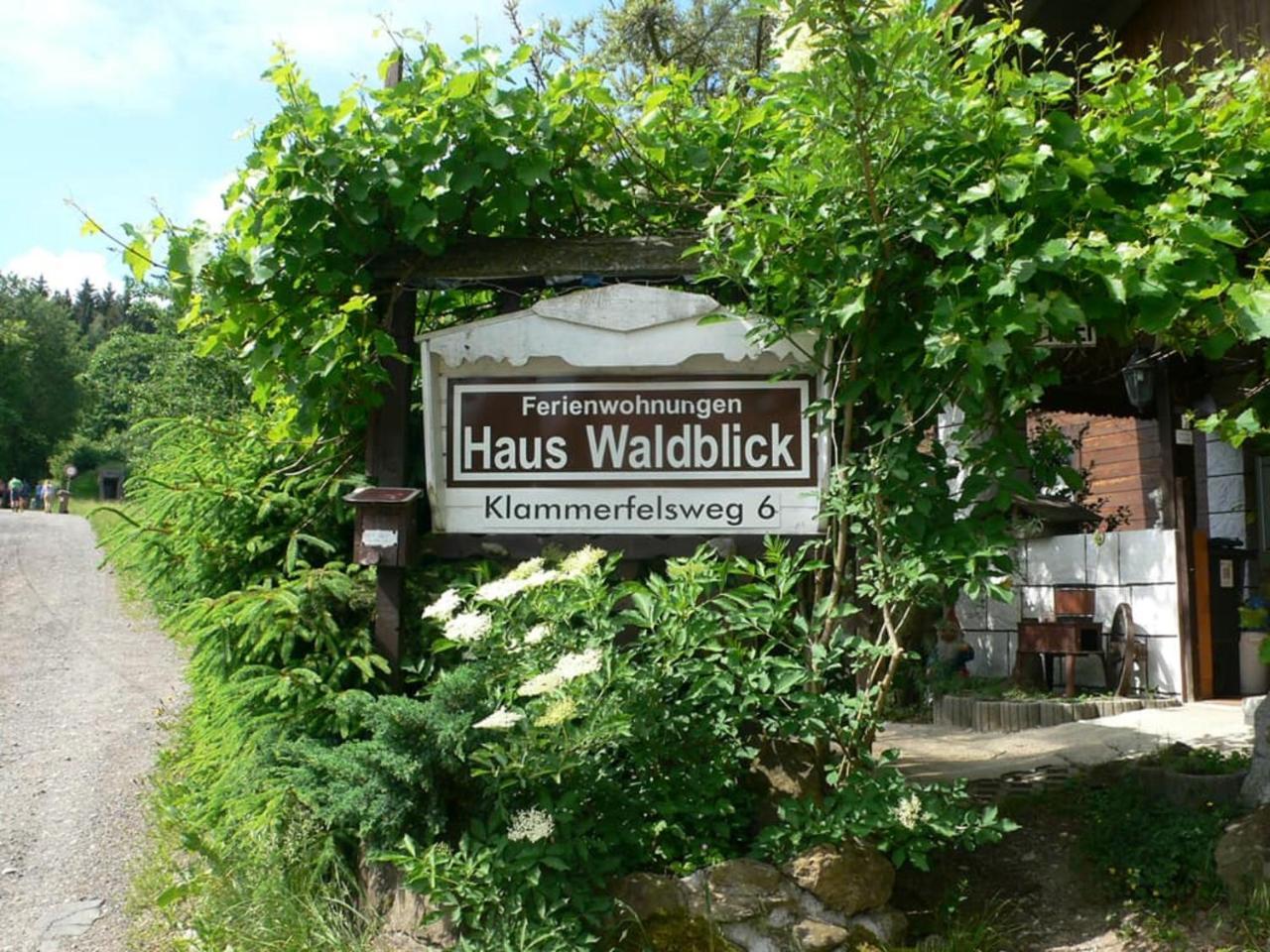 Ferienwohnungen Waldblick Waldmünchen Exterior foto